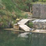 Foto: "Focas en la Casa de los Peces" de Juan y Gela