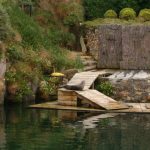 Foto: "Foca - Casa de los peces" de Juan y Gela