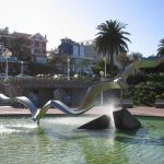 Foto: "Gaviotas en la Plaza de Portugal" de Fotos de Galicia