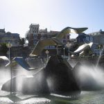 Foto: "Gaviotas en la Plaza de Portugal" de Fotos de Galicia