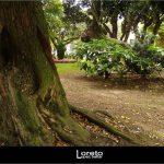 Foto: "Jardines de Méndez Núñez en A Coruña" de Loreto  López Baltar