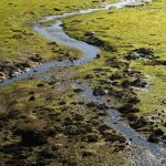 Foto: "Ría de O Burgo en bajamar" de Loreto  López Baltar