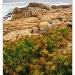 Foto: "Costa de A Coruña desde San Amaro" de Loreto  López Baltar
