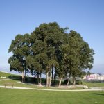 Foto: "Parque de Bens" de Fotos de Galicia