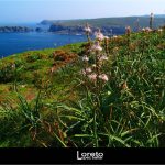 Foto: "Paisaje de la costa desde el Faro de Mera" de Loreto  López Baltar