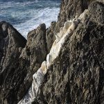 Foto: "Seixo Branco - Mera - Oleiros - A Coruña" de Maxi