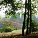 Foto: "Entorno del Pazo de Mariñán" de Alfonso Luaces