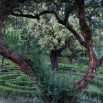 Foto: "Pazo de Mariñán en Bergondo" de Yak