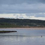 Foto: "Parque Dunar Corrubedo" de Juan Parada