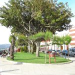 Foto: "Paseo en Rianxo" de Maria S.V.