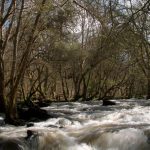 Foto: "Agua en Verdes" de Javier Vilar