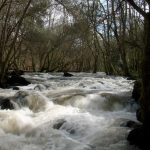 Foto: "Agua en Verdes" de Javier Vilar