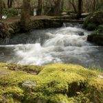 Foto: "Agua en Verdes" de Javier Vilar