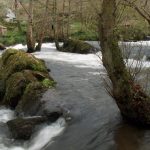 Foto: "Auga en Verdes" de Javier Vilar