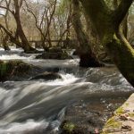Foto: "Auga en Verdes" de Javier Vilar