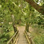 Foto: "Refugio de Verdes - Coristanco - A Coruña" de Maxi
