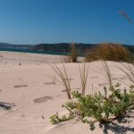Foto: "Playa da Barra Balarés" de Javier Vilar