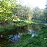 Foto: "Río Mondeo en área recreativa en Oza dos Ríos" de Jerónimo Pérez