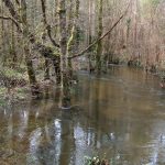 Foto: "Río Vexo o Fervenzas (Aranga)" de Javier Vilar