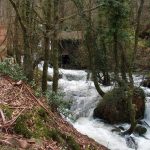 Foto: "Río Vexo o Fervenzas (Aranga)" de Javier Vilar