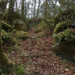 Foto: "Bosque tradicional en Aranga" de Javier Vilar