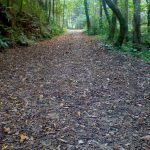 Foto: "Camino cercano al río Lambre" de Yak