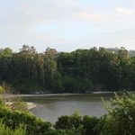Foto: "Ponte do Porco en Miño" de Yak