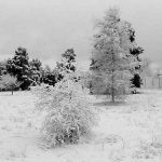 Foto: "Nevada en As Pontes" de Jose Luis Vizoso
