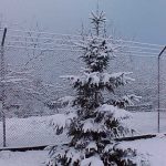 Foto: "Nevada en As Pontes" de Jose Luis Vizoso