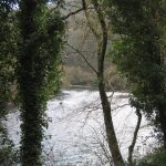 Foto: "Discurso del río Eume" de Fotos de Galicia
