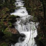 Foto: "Regato de agua en las Fragas do Eume" de Fotos de Galicia Foto: "Regato de agua en las Fragas do Eume" de Fotos de Galicia