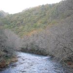 Foto: "Discurso del río Eume" de Fotos de Galicia