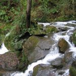 Foto: "Rápidos de agua en las Fragas do Eume" de Fotos de Galicia Foto: "Rápidos de agua en las Fragas do Eume" de Fotos de Galicia