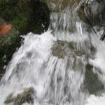Foto: "Detalle de agua" de Fotos de Galicia