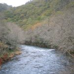 Foto: "Discurso del río Eume" de Fotos de Galicia