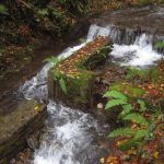 Foto: "Afluencia de agua al río Eume" de Fotos de Galicia Foto: "Afluencia de agua al río Eume" de Fotos de Galicia