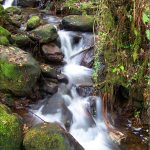 Foto: "Riachuelo hacia el río Eume en las Fragas" de Luis Romero Foto: "Riachuelo hacia el río Eume en las Fragas" de Luis Romero