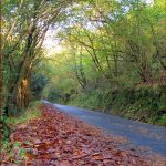 Foto: "Camino hacia Caaveiro" de Luis Romero