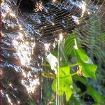 Foto: "Naturaleza en el Eume" de Luis Romero