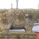 Foto: "Cerdos Ibéricos de Pontedeume" de Fotos de Galicia