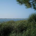 Foto: "Laguna de Valdoviño" de Jorge F. Nóvoa