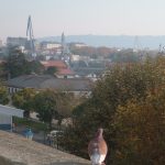 Foto: "Ferrol a vista de pájaro" de Almudena Fernández