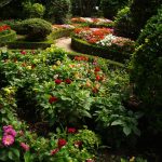 Foto: "Jardín Botánico de Padrón" de Loreto  López Baltar