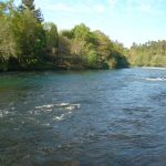 Foto: "Río Ulla no Xirimbao" de Maria S.V.
