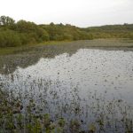 Foto: "Laguna de Sobrado dos Monxes" de Rocío Vila Abuín