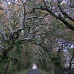 Foto: "Entrada a Torres do Allo - Baio" de Javier Vilar