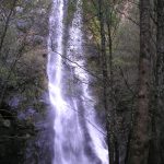 Foto: "Cascada" de Rocío Vila Abuín