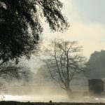 Foto: "Parque del Miño en Lugo" de Manuel Alfonso Fernández
