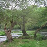 Foto: "Area Recreativa de Santa Isabel" de Rocío Vila Abuín