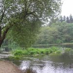 Foto: "Area Recreativa de Santa Isabel" de Rocío Vila Abuín